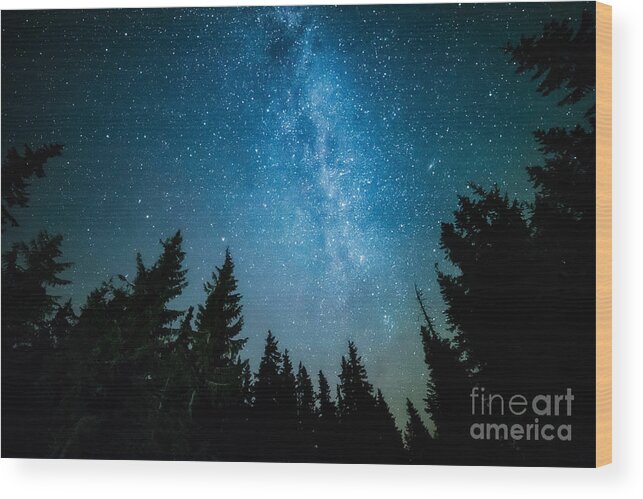 Magic Wood Print featuring the photograph The Milky Way Rises Over The Pine Trees by Andrey Prokhorov