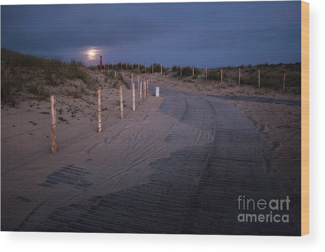 _flora Wood Print featuring the photograph The Moon Lights My Way by Hannes Cmarits