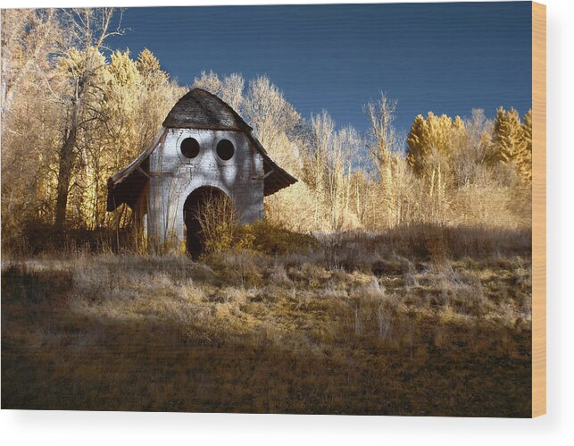 Owl Wood Print featuring the photograph The Old Owl House by Klaus Bauer
