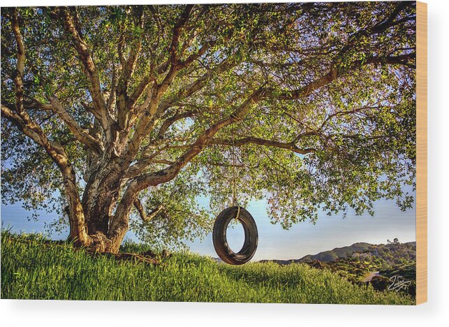 Oak Tree Wood Print featuring the photograph The Old Tire Swing by Endre Balogh