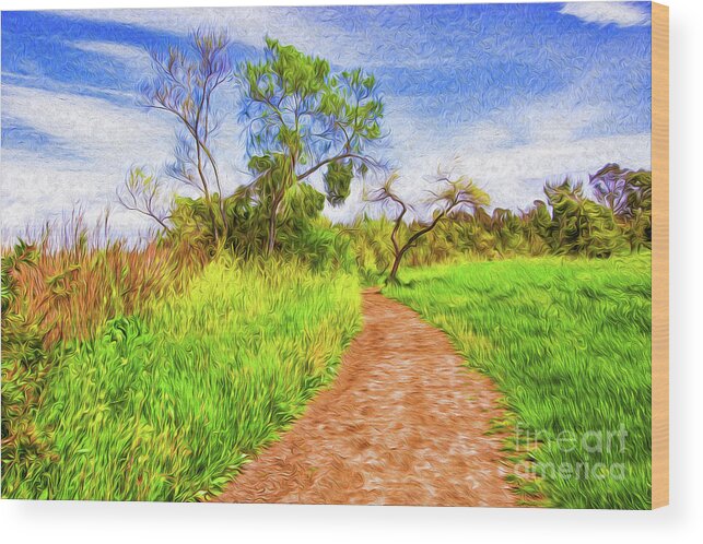 Colorful Wood Print featuring the digital art The Path that Lies Ahead II by Kenneth Montgomery