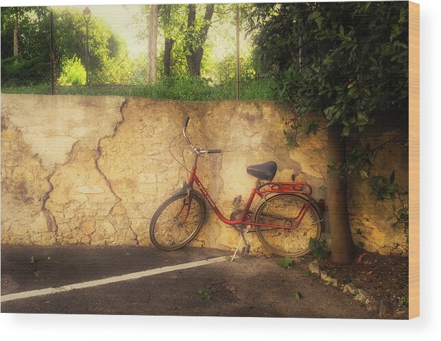 Bicycle Wood Print featuring the photograph The Red Bicycle by Lauri Novak