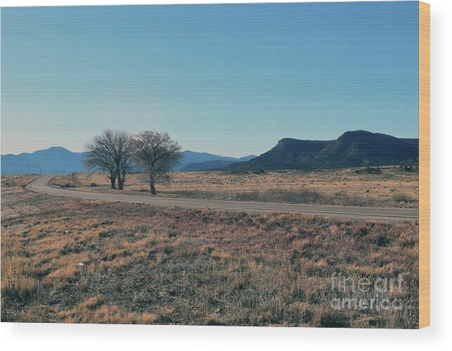 Gorge Wood Print featuring the photograph The Road Southwest by Leslie M Browning