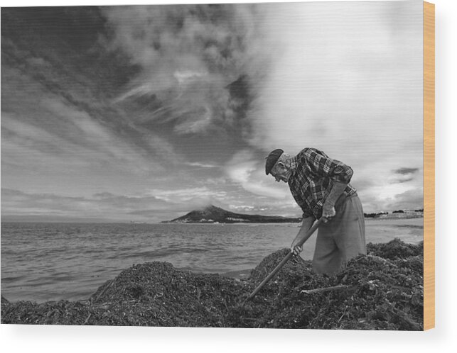 Seaweed Wood Print featuring the photograph The Seaweed Man by Filipe P Neto
