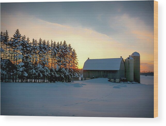 Wisconsin Wood Print featuring the photograph The Softness of Winter by Patti Raine