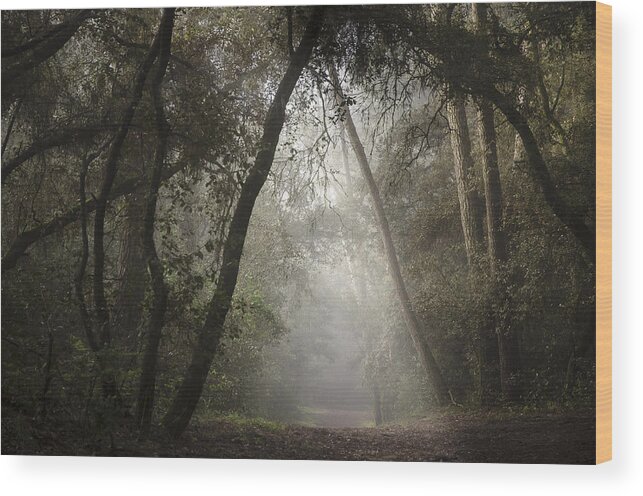 Wood Wood Print featuring the photograph The Wood Entrance by Jean-luc Billet