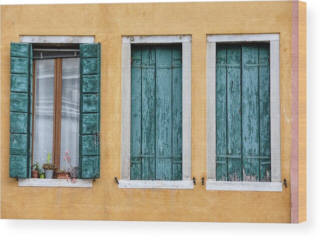 Venice Wood Print featuring the photograph Three Green Windows of Venice by David Letts