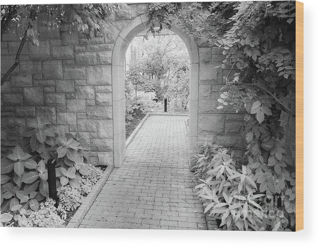 Black And White Photographs Wood Print featuring the photograph Through the Garden Gate by Terri Morris