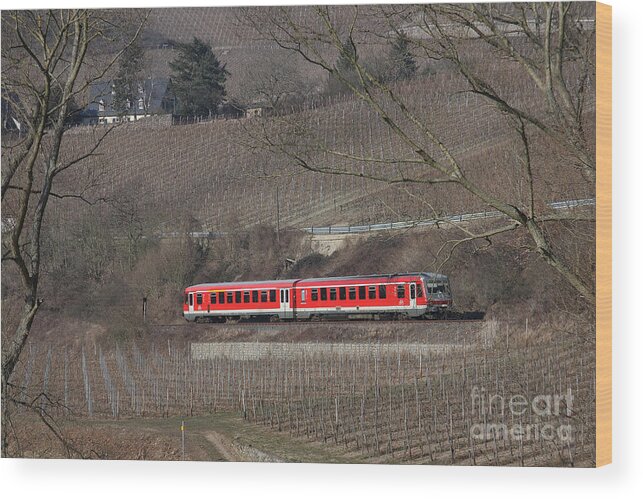 Deutsche Bahn Wood Print featuring the photograph Through Winter Vineyards by Steve Ember