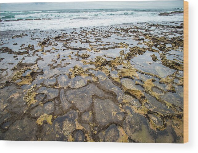 Isimangaliso Wetland Park Wood Print featuring the photograph Tidepools In The Indian Ocean by Edwin Remsberg