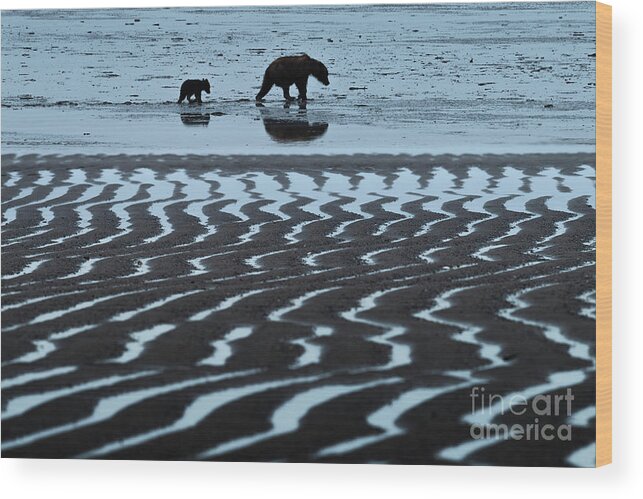 Wildlife Wood Print featuring the photograph Tide's Out - Lake Clark-AK by Sandra Bronstein