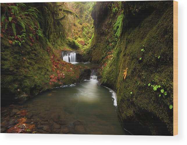Landscape Wood Print featuring the photograph Tire Creek Canyon by Andrew Kumler