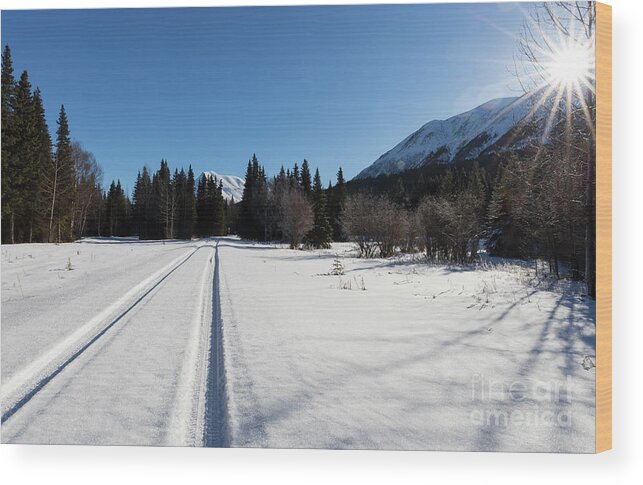 Kenai Peninsula Wood Print featuring the photograph Tire tracks in snow in an isolated area of the Kenai Peninsula by Louise Heusinkveld
