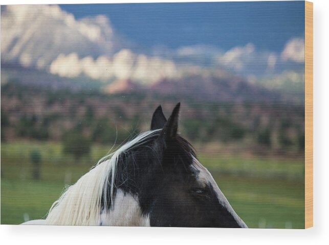 Horse Wood Print featuring the photograph Torrey Horse #2 by Jonathan Thompson