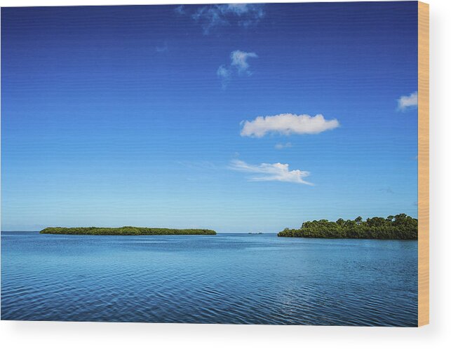 Clouds Wood Print featuring the photograph Touch of Green by Joe Leone