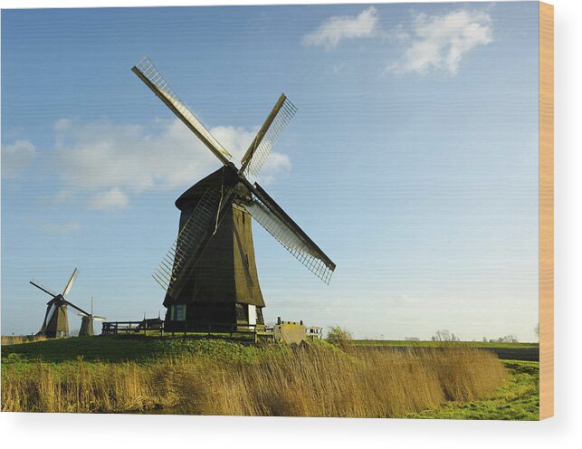 Scenics Wood Print featuring the photograph Traditional Dutch Landscape by Funky-data