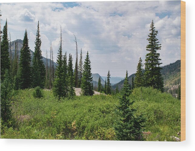Mountain Wood Print featuring the photograph Trail to Gilpin Lake by Nicole Lloyd