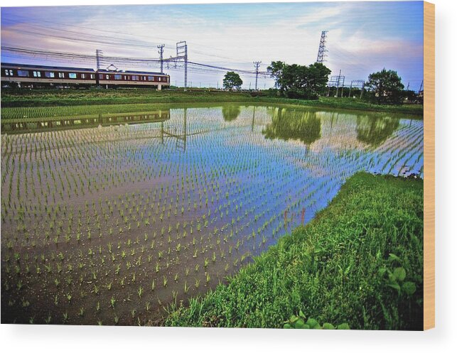 Scenics Wood Print featuring the photograph Train Passing By A Rice Field In Rural by Jake Jung