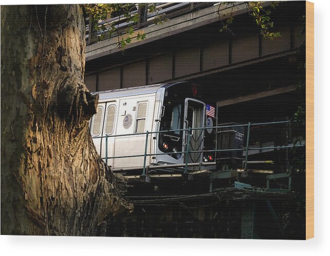 Subway Wood Print featuring the photograph Tree and Train by Steve Ember