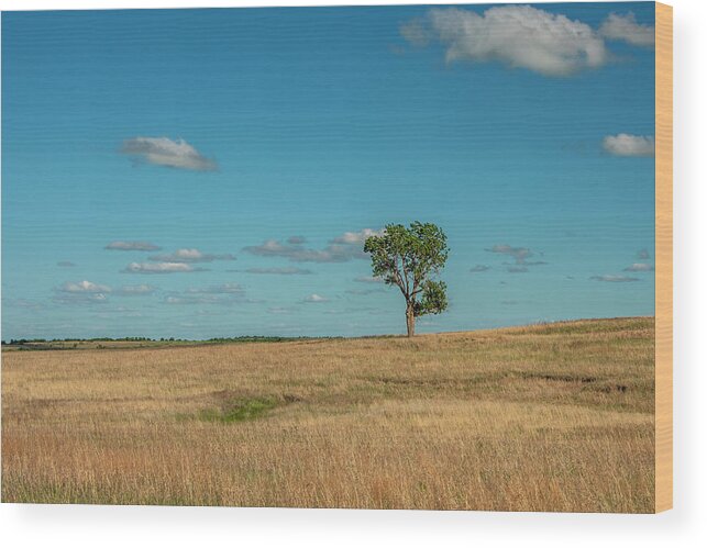 Blue Wood Print featuring the photograph Tree In The Flint Hills Of Kansas by Michael Scheufler