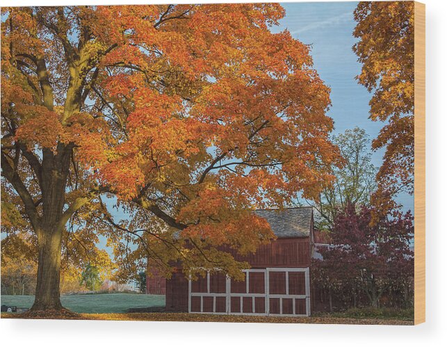 Autumn Wood Print featuring the photograph Tree of Hope with Barn by Angelo Marcialis