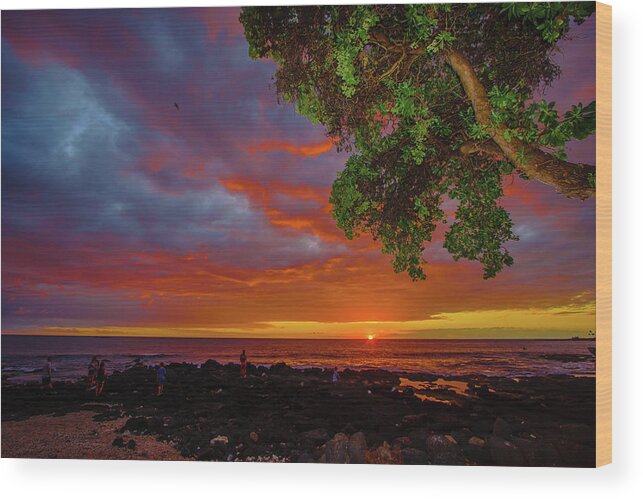 Hawaii Wood Print featuring the photograph Tree Sea and Sun by John Bauer