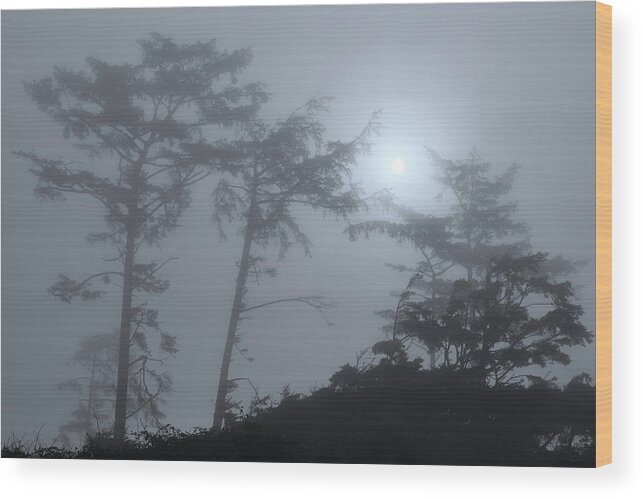  Wood Print featuring the photograph Coastal Tree Series 2 of 7 by Scenic Edge Photography