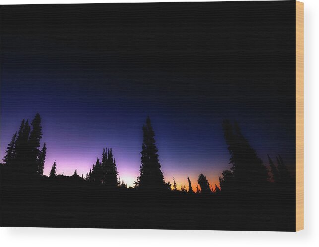 Tree Wood Print featuring the photograph Tree Silhouette Sunrise by Pelo Blanco Photo