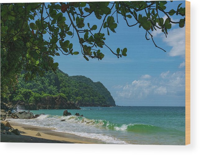 Caribbean Wood Print featuring the photograph Tropical Beach on Castara Bay by Liz Albro