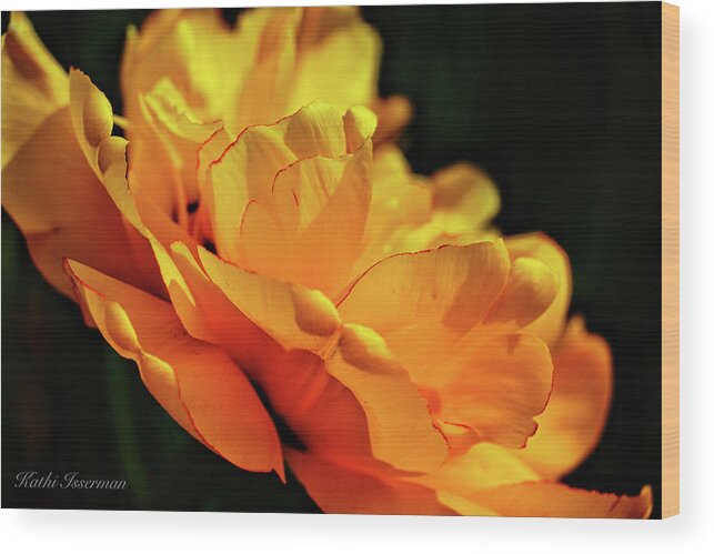 Brookside Gardens Wood Print featuring the photograph Tulip Exposed by Kathi Isserman