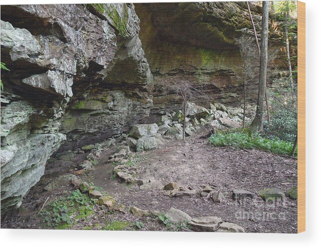 Pogue Creek Canyon Wood Print featuring the photograph Turkey Roost Rockhouse 1 by Phil Perkins