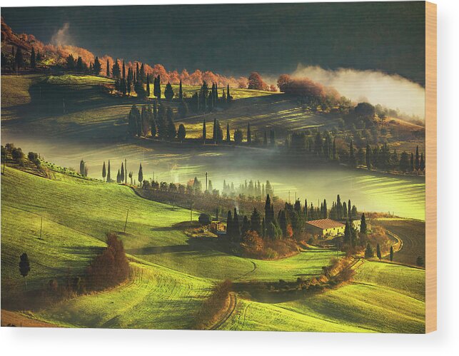 Tuscany Wood Print featuring the photograph Tuscany Foggy Morning by Stefano Orazzini