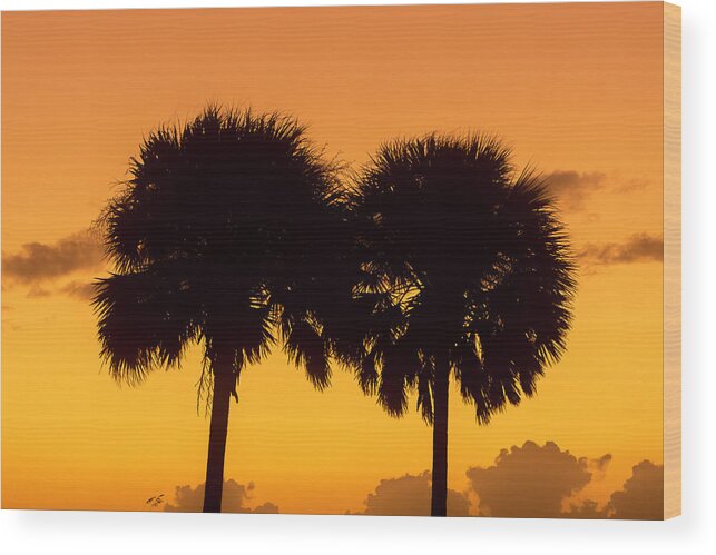 Sunset Wood Print featuring the photograph Two Palm Sunset by Robert Wilder Jr