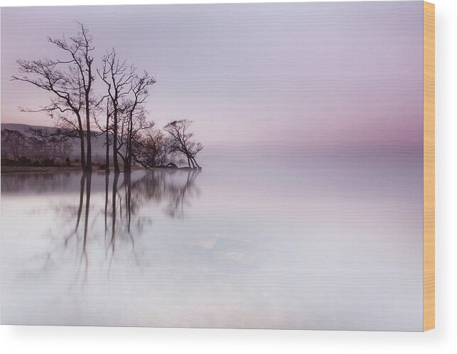 Landscape Wood Print featuring the photograph Ullswater Mist at Sunrise by Anita Nicholson