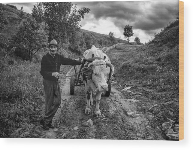 Man Wood Print featuring the photograph Uncle Andras And Cow by Zoran Toldi