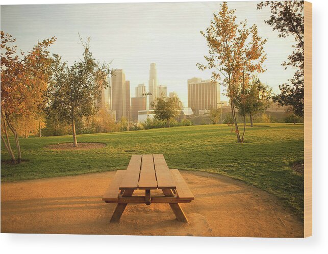 Tranquility Wood Print featuring the photograph Urban Park by Seth Joel