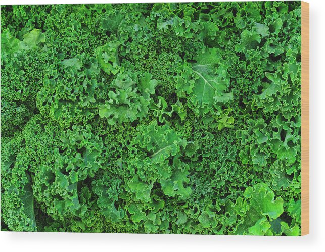 Outdoors Wood Print featuring the photograph Usa, New York City, Fresh Kale by Tetra Images