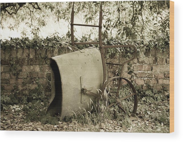 Victorian Wood Print featuring the photograph Victorian Wheelbarrow by Tanya C Smith