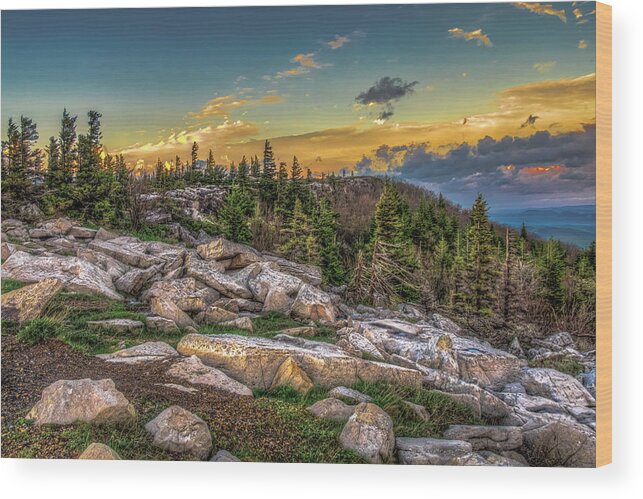 Landscapes Wood Print featuring the photograph View from Dolly Sods 4714 by Donald Brown
