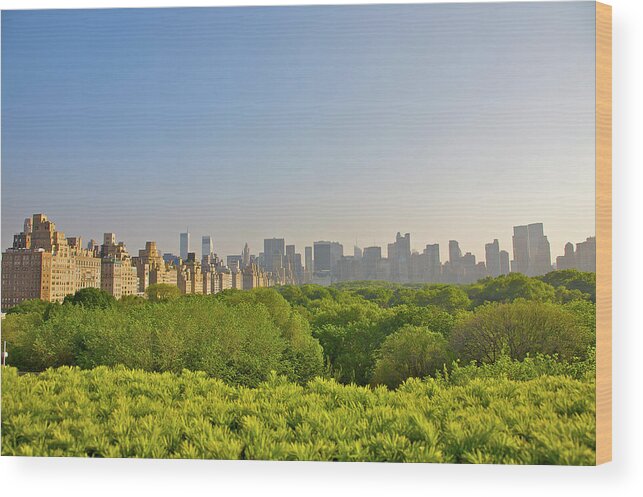 Central Park Wood Print featuring the photograph View Of Manhattans Central Park As Well by Barry Winiker