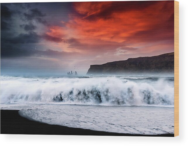 Sunset Wood Print featuring the photograph Vik at Sunset by Philippe Sainte-Laudy
