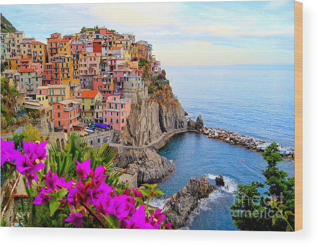 Terre Wood Print featuring the photograph Village Of Manarola On The Cinque by Jenifoto