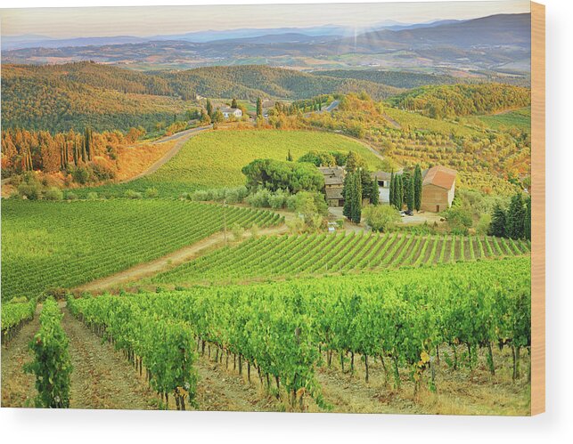 Environmental Conservation Wood Print featuring the photograph Vineyard Sunset Landscape From Tuscany by Csondy