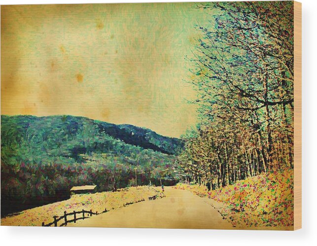 Todd Wood Print featuring the photograph Vintage Country Mountain Road by Cathy Lindsey