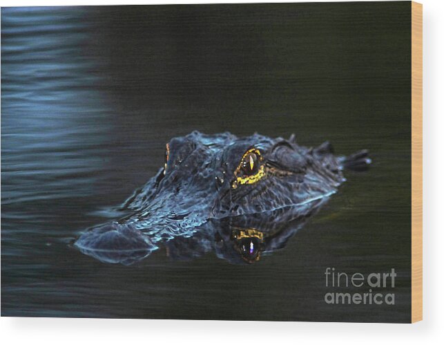 Alligator Wood Print featuring the photograph Waiting in the Moonlight by Jane Axman