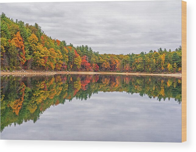 Walden Wood Print featuring the photograph Walden Pond Fall Foliage Concord MA Reflection Trees by Toby McGuire