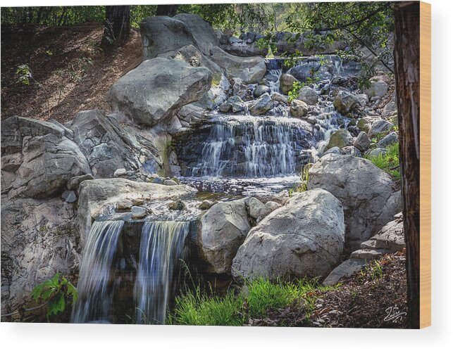 Descanso Gardens Wood Print featuring the photograph Waterfall At Descanso Gardens by Endre Balogh