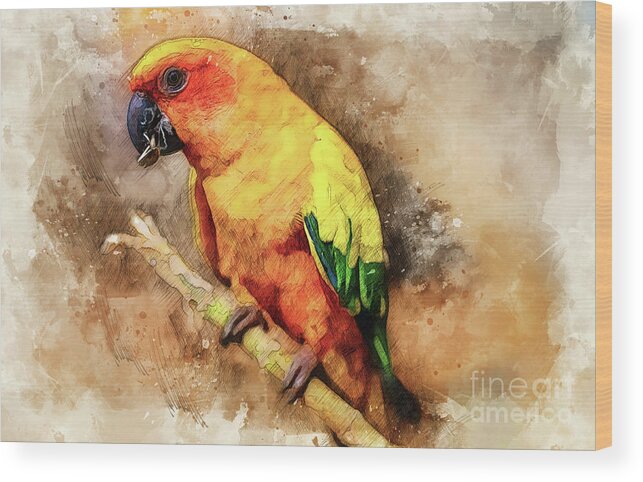 Parrot Wood Print featuring the photograph Western Caribbean Flier by David Smith