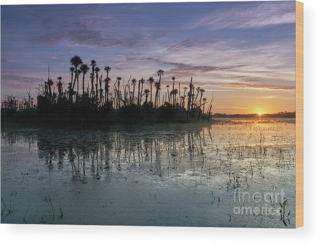 A Vibrant Sunrise In The Beautiful Natural Surroundings Of Orlando Wetlands Park In Central Florida. The Park Is A Large Marsh Area Which Is Home To Numerous Birds Wood Print featuring the photograph Wetland Beauty by Brian Kamprath