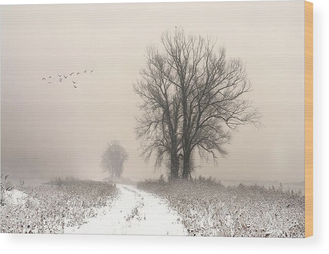 Mood Wood Print featuring the photograph Whispering Winter by Lou Urlings